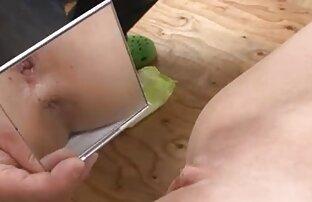 XXX باشگاه مهندسان اشلی عكس پا سكسي روباه زیبا و سکسی لباس زیر