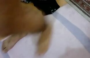 XXX حسادت چیز بدی عكس سكسي متحرك شهواني است اما من با دیدن این سگ با الاغ او را فاک سوراخ شما نمی توانید بدون افراط روح او وارد است و نه خود را دیک