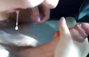 XXX حشری سگ نوازش گربه که در آن او می خواهد عكس سكسي كارتوني